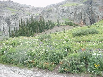 This is a picture of Yankee Boy Basin, CO.