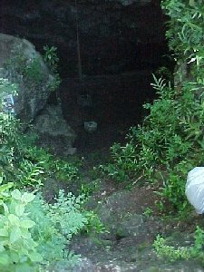 This is a picture of the entrance to a cave in Guam.