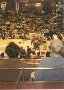 This is a picture of a Sumo wrestling event.