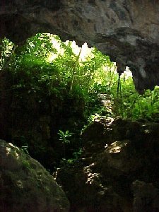 This is a picture of a cave in Guam.